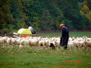 Fritz vom Versbachtal
